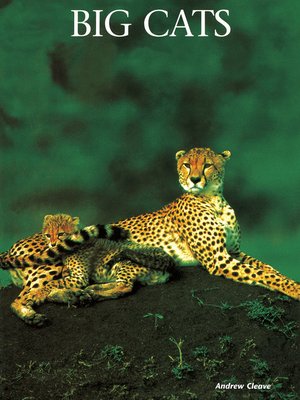 cover image of Big Cats